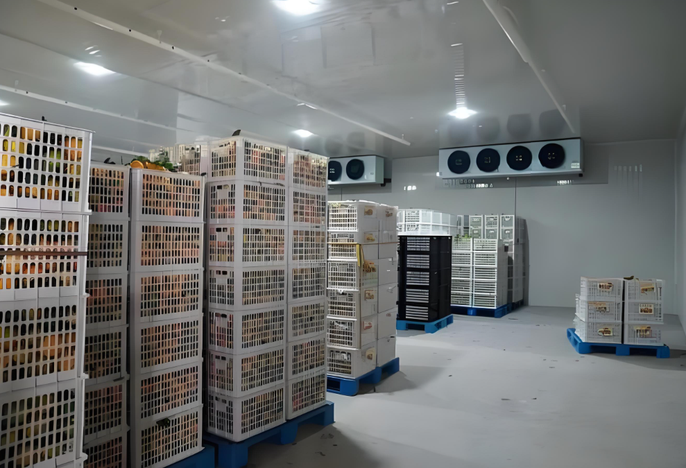 冷庫中貨物堆碼高度有限制嗎，依據(jù)是什么？